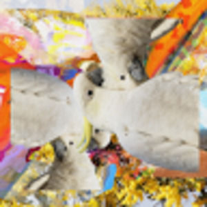 Meet your Posher, Betty